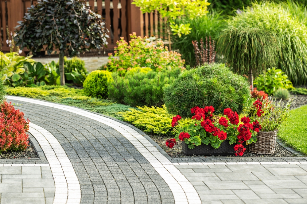 Bezuz-Landscaping-and-Design-Industrial-in-katy-texas-03